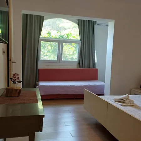 Borovik 3*