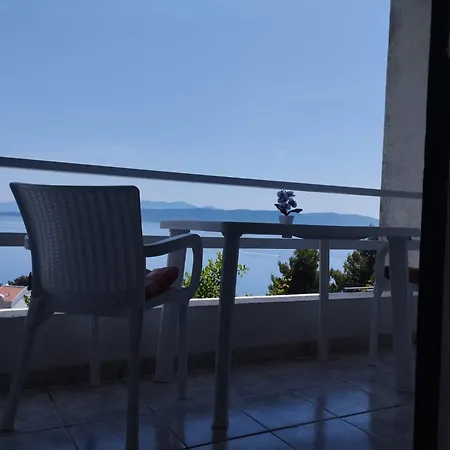 بيت ضيافة Borovik