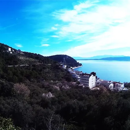 Borovik Penzion Živogošće