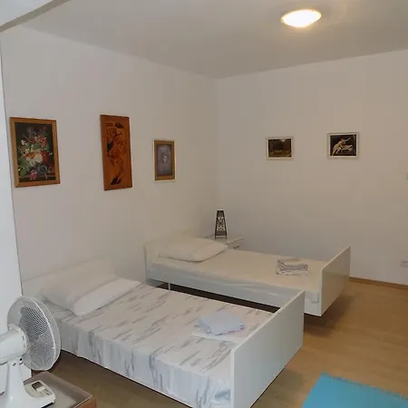 Borovik Penzion 3*