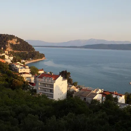 Borovik 3*