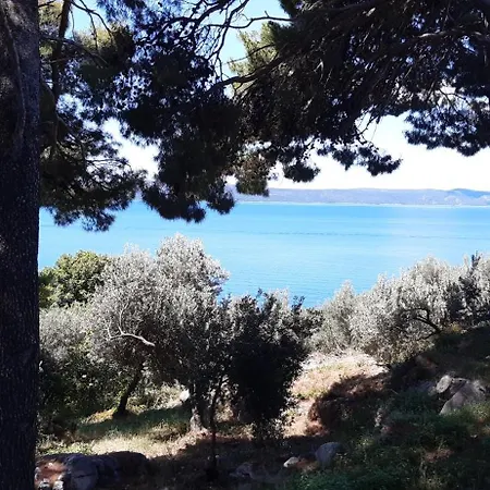 Gostinjska kuća Borovik