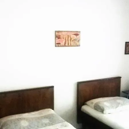 בית הארחה Borovik